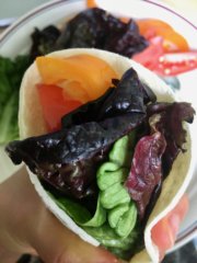 Vegan wrap with hummus and veggies